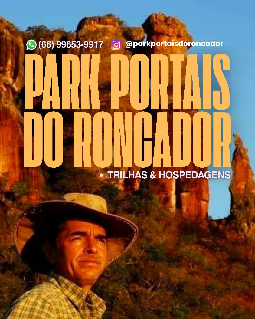 Meditação na floresta