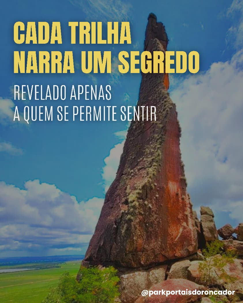 Constelações ancestrais