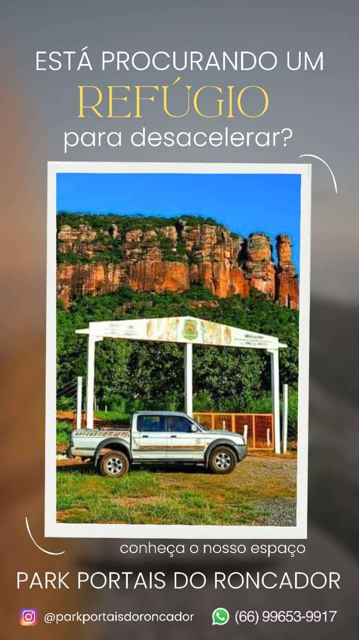Trilha na selva